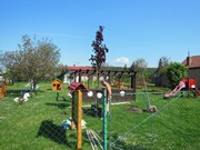 Výsadba na školní zahradě